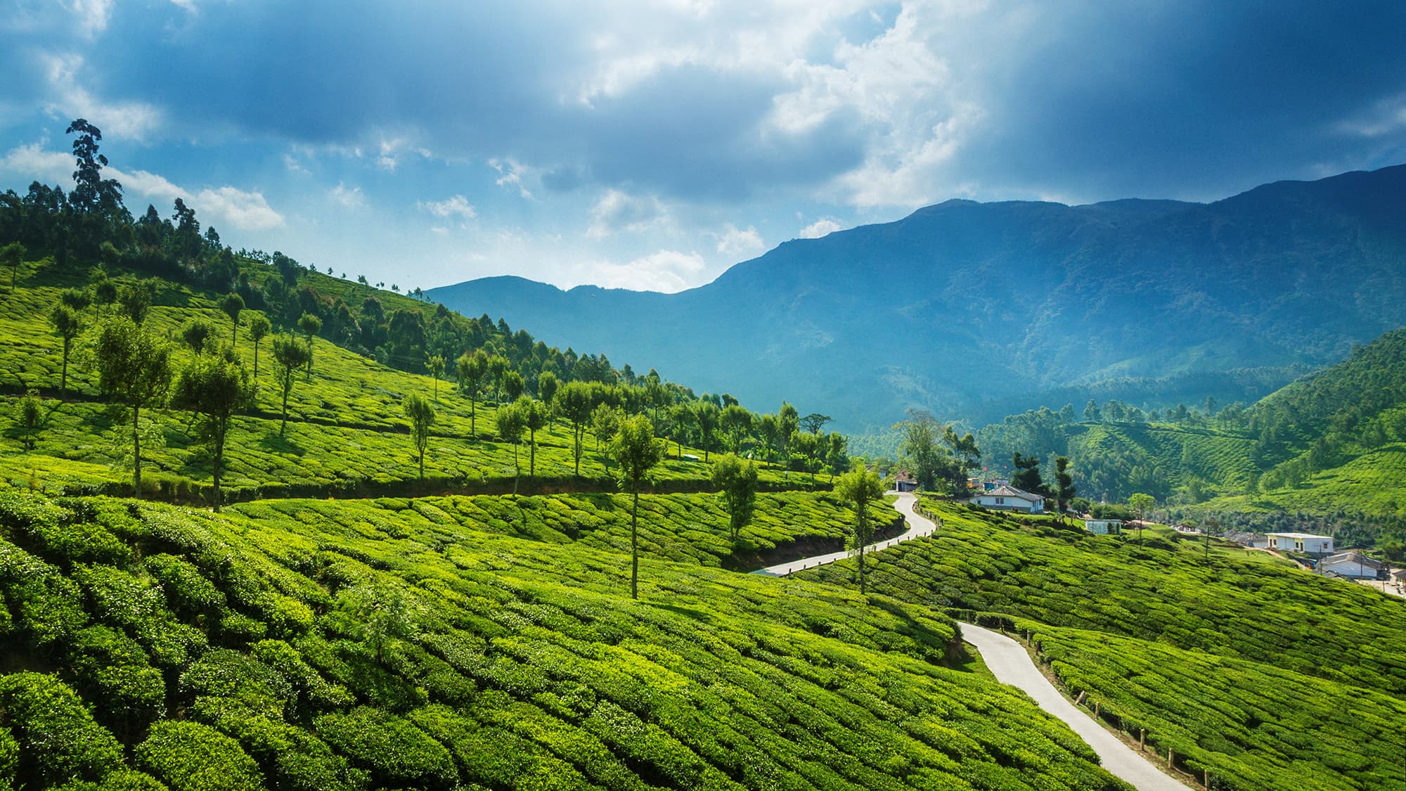 Ride a complete loop from the tropical coast into the high mountains and back