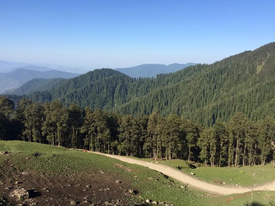 Jalori Pass: Navigate steep dirt switchbacks connecting the Kullu and Shimla districts.