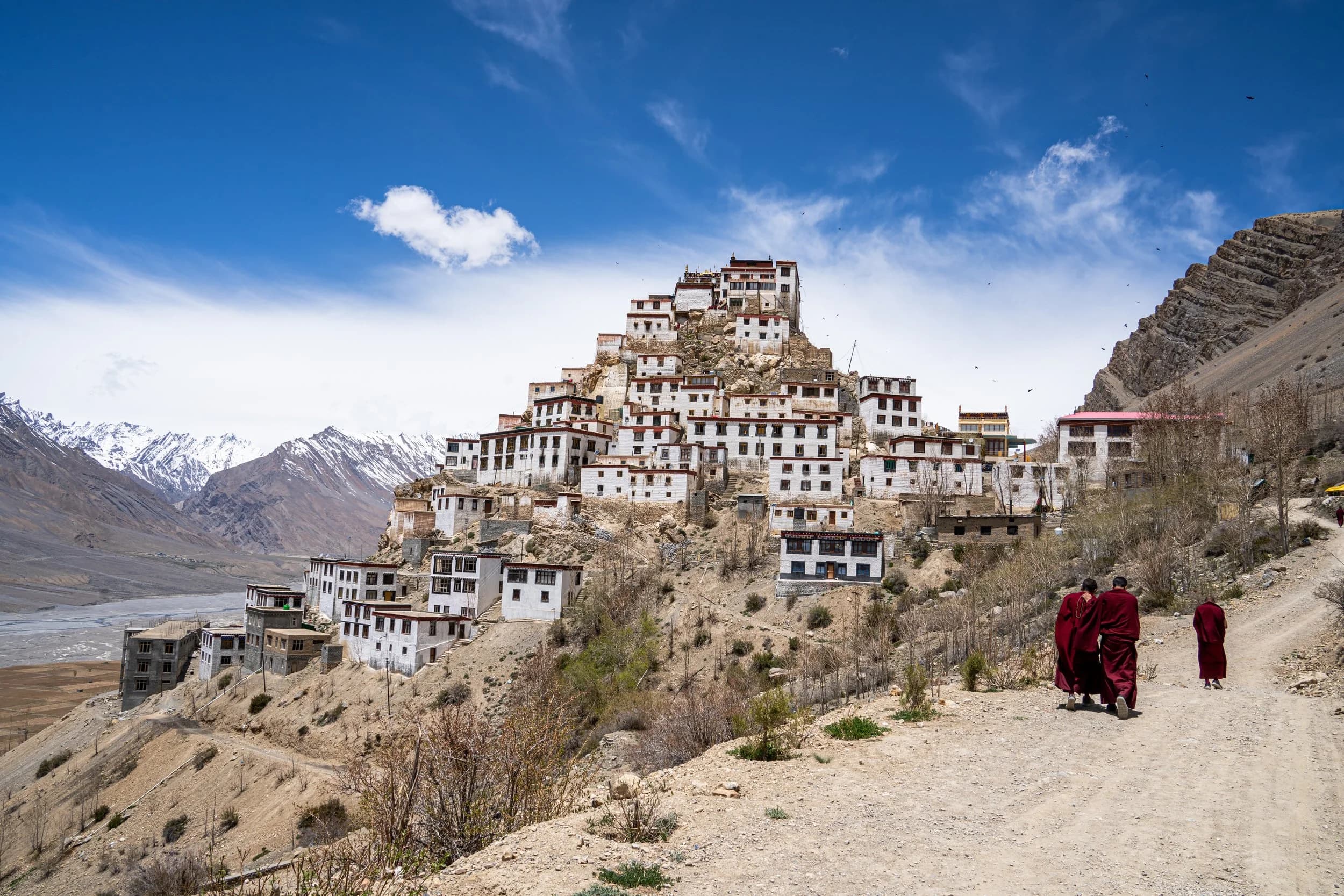Key Monastery: Explore the iconic 1,000-year-old Tibetan Buddhist monastery perched above the Spiti River.