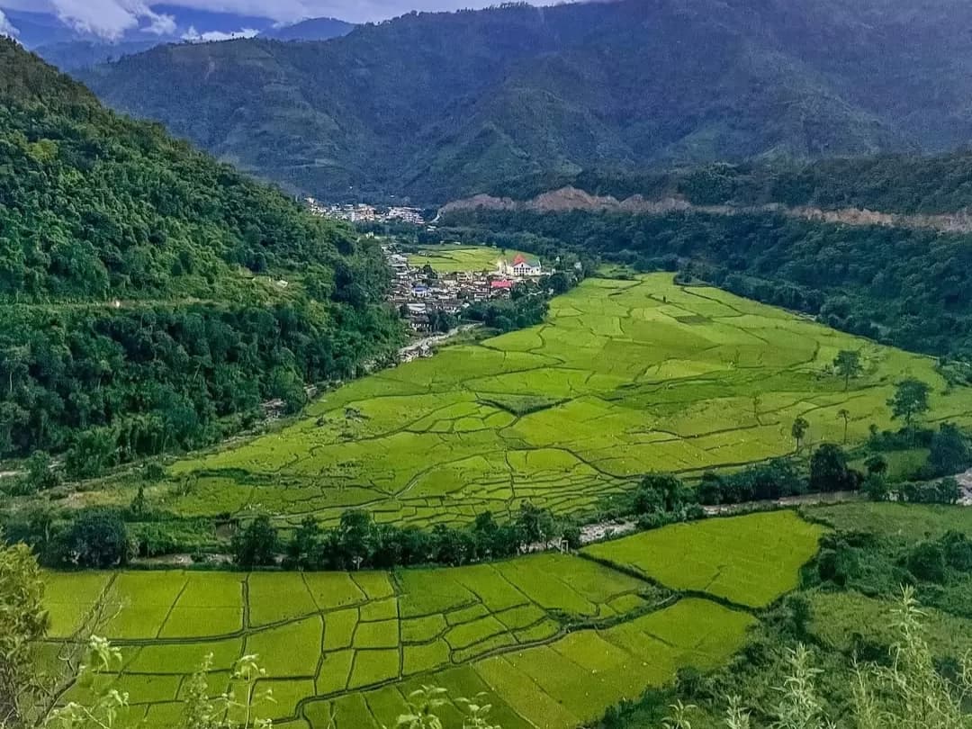 Explore the UNESCO-listed pine groves and paddy fields of the Apatani Plateau.